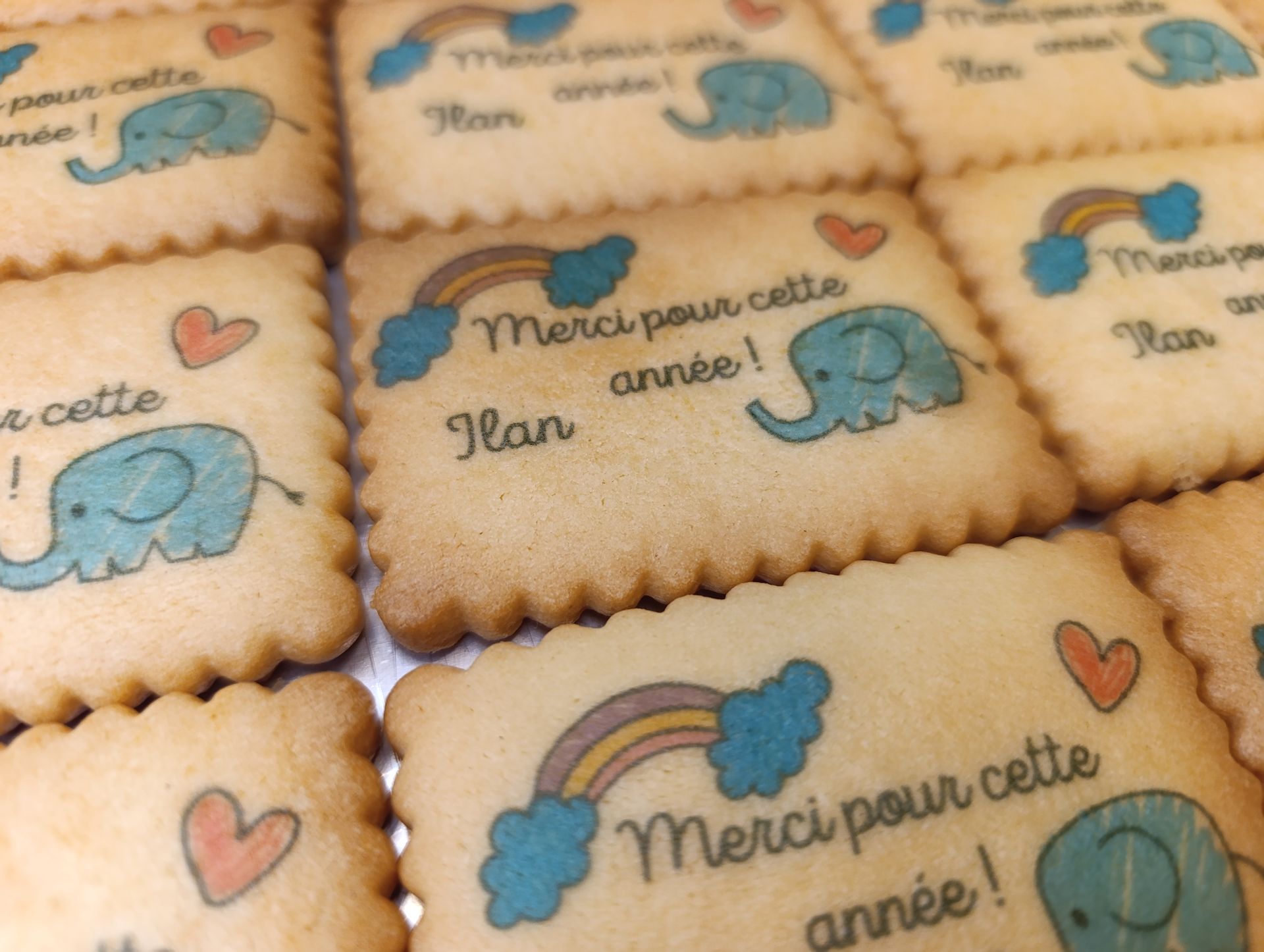 Biscuit rectangles